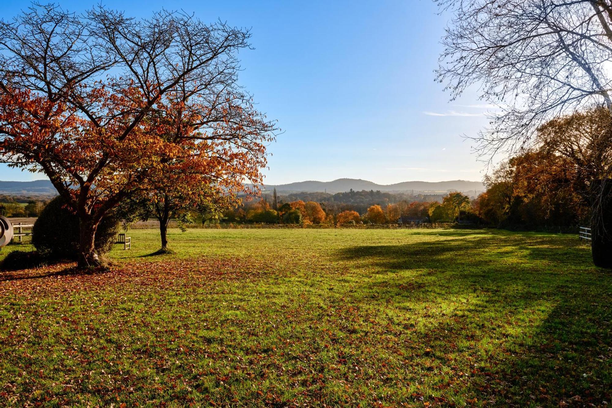 Ferienwohnung Garden Flat Near Goodwood With Stunning Views Petersfield Exterior foto