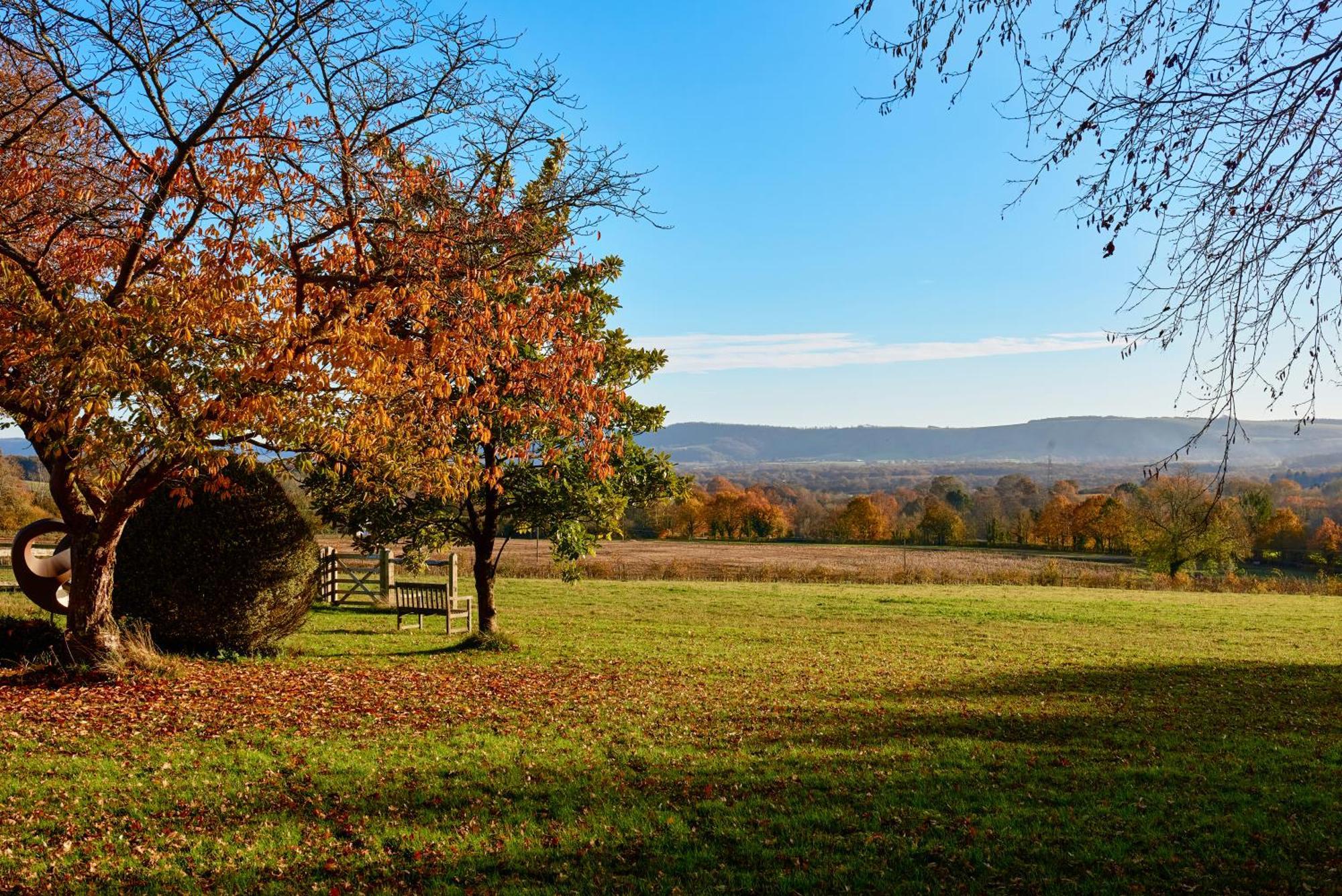 Ferienwohnung Garden Flat Near Goodwood With Stunning Views Petersfield Exterior foto
